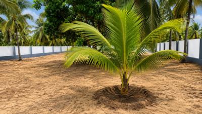 Image of 1000 Sq.ft Residential Plot / Land for sale in Kalpakkam, Chennai for Rs. 1495000