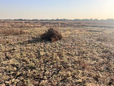 Image of 1089 Sq.ft Residential Plot / Land for sale in Shirdhon, Navi Mumbai for Rs. 1100000