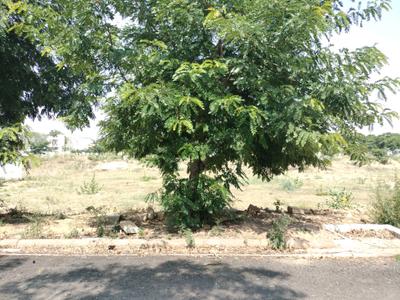 Block J Plot View 1