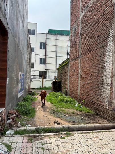 Naubasta Main Image 1