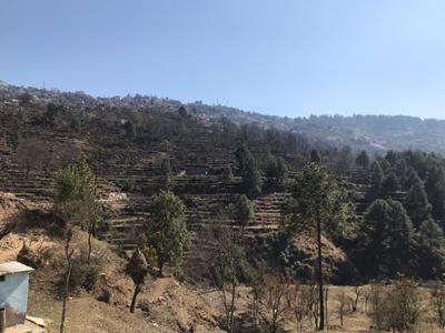 Image of 10800 Sq.ft Residential Plot / Land for sale in Pandeykhola, Almora for Rs. 1000000
