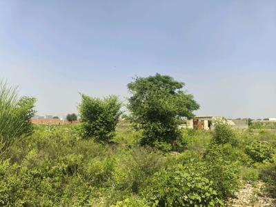 Image of 100 Sq.ft Residential Plot / Land for sale in Bhanauta, Greater Noida for Rs. 3512600
