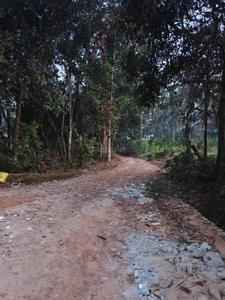 Image of 820 Sq.ft 2 BHK Independent House for sale in Shankarpura, Udupi for Rs. 3500000