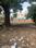 Thaltej Plot View 2
