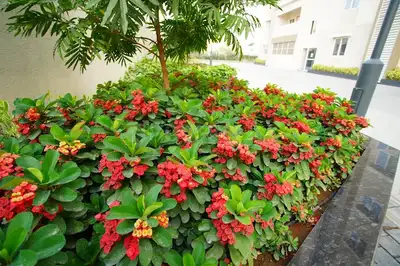 Image of 1250 Sq.ft 2 BHK Apartment / Flat for sale in Nizampet, Hyderabad for Rs. 9750000