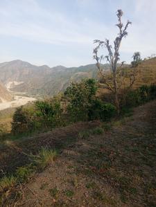 Image of 900 Sq.ft Residential Plot / Land for sale in Maldevta, Dehradun for Rs. 9000000