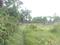 Arapanch Main Image 1