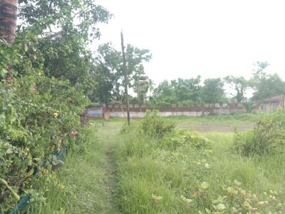 Arapanch Plot View 1