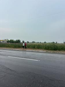 Naugaon Plot View 3