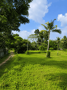 Image of 43560 Sq.ft Residential Plot / Land for sale in Thrippunithura, Kochi for Rs. 150000000
