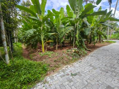 Nedumbassery Plot View 2