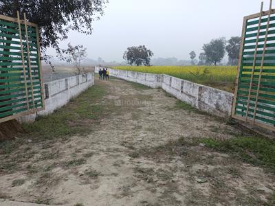 Image of 880 Sq.ft Residential Plot / Land for sale in Marwan, Muzaffarpur for Rs. 1200000