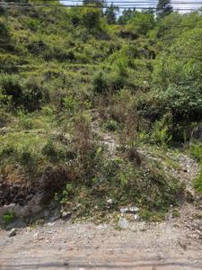 Johri Plot View 3