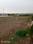 Theur Plot View 2