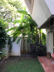 Image of 2400 Sq.ft 3 BHK Apartment / Flat for sale in Richmond Town, Bengaluru for Rs. 56000000