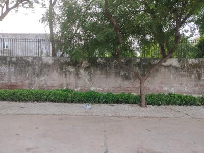 Image of 500 Sq.ft Residential Plot / Land for sale in Sector 21A, Faridabad for Rs. 110000000