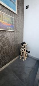 Bedroom Image of 2304 Sq.ft 3 BHK Villa for rent in Chembur Mumbai for Rs. 180000