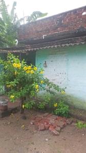 Image of 4000 Sq.ft 10 BHK Independent House for sale in Robertsganj, Sonbhadra for Rs. 5000000