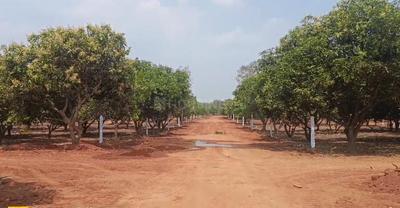 121 Sq.ft Residential Plot / Land for Sale in Yacharam, Hyderabad