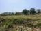Swastik Greens Main Image 1