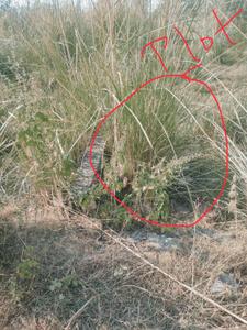 Image of 3000 Sq.ft Residential Plot / Land for sale in Suman Nagar, Haridwar for Rs. 1900000