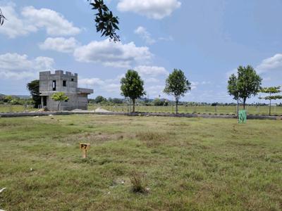 Residential Plot