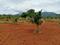 Vallalar Nagar, Bilichi Plot View 2