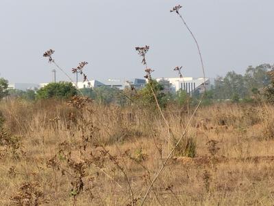 Image of 1000 Sq.ft Residential Plot / Land for sale in Harapur, Bhubaneswar for Rs. 2200000