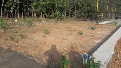 Image of 2875 Sq.ft Residential Plot / Land for sale in Akathethara, Palakkad for Rs. 1650000