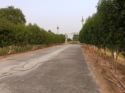 Image of 150 Sq.ft Residential Plot / Land for sale in Aqasia Enclave Plots, Meethiyawas, Bhiwadi for Rs. 3952500