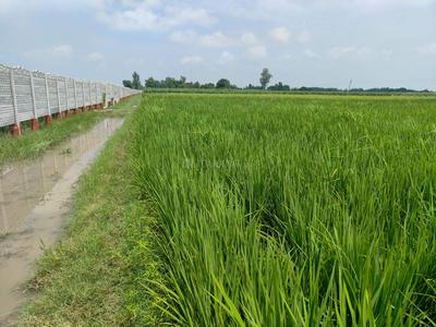 Image of 300 Sq.ft Residential Plot / Land for sale in XU III, Greater Noida for Rs. 31500000