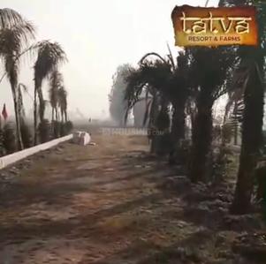 Agricultural Land