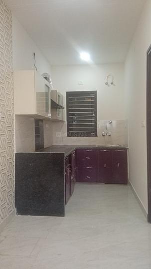 Pathauli Village Main Image 1