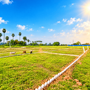 Image of 600 Sq.ft Residential Plot / Land for sale in Bihta, Patna for Rs. 899000