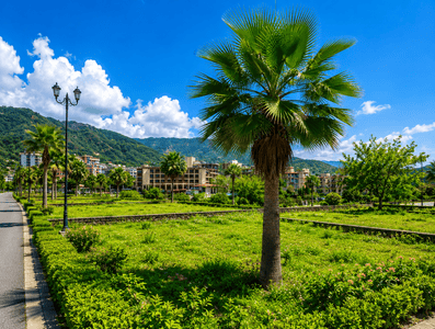 Image of 240 Sq.ft Residential Plot / Land for sale in Mussoorie Road, Dehradun for Rs. 26400000