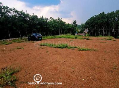 Chittur Plot View 1