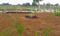 Devanahalli Plot View 2