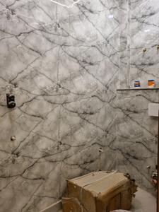 Common Bathroom Image of 600 Sq.ft 2 BHK Apartment / Flat for sale in Dwarka Mor New Delhi for Rs. 4200000