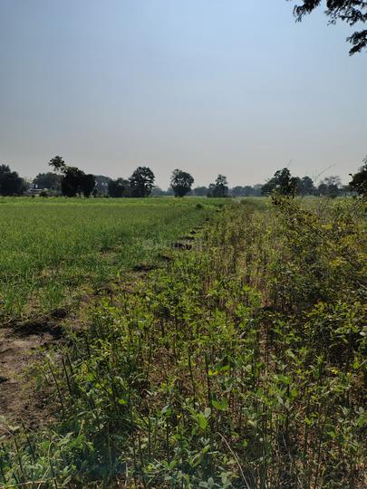 DLF Garden City Plot Main Image 1