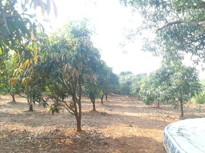 Image of 90000 Sq.ft Residential Plot / Land for sale in Trimbak, Nashik for Rs. 27500000