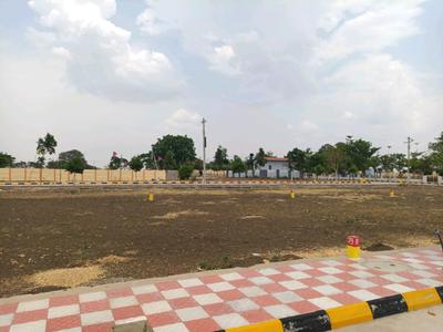 GEM Infiniti Counti Plot View 1