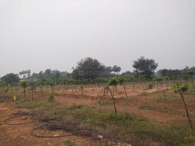 Image of 250 Sq.ft 2 BHK Farm House for rent in Tirupati Amaraavathi Tekk Homes, Yerpudu, Tirupathi for Rs. 20000