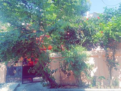 Image of 1650 Sq.ft 5 BHK Independent House for sale in Haldwani, Nainital for Rs. 14000000