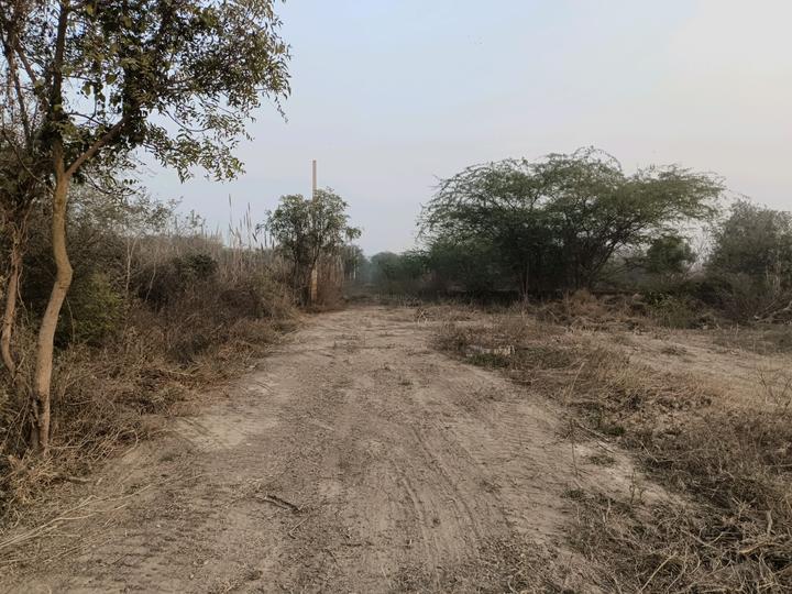Sector 34 Rohini Main Image 1