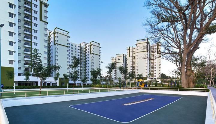 Provident Equinox 2 Main Image 1