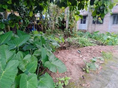 Image of 1080 Sq.ft Residential Plot / Land for sale in Purba Barisha, Kolkata for Rs. 1550000