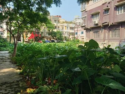Image of 8100 Sq.ft Residential Plot / Land for sale in Keshtopur, Kolkata for Rs. 56250000