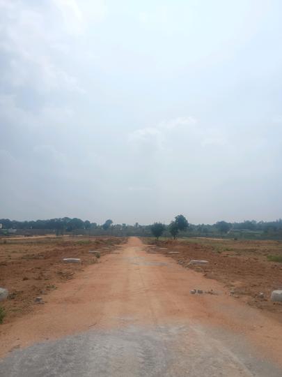 Century Nature City Internal Roads 1