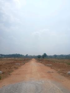 Century Nature City Internal Roads 1