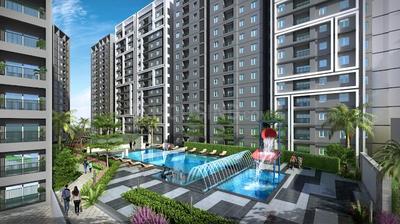 3 BHK Flat